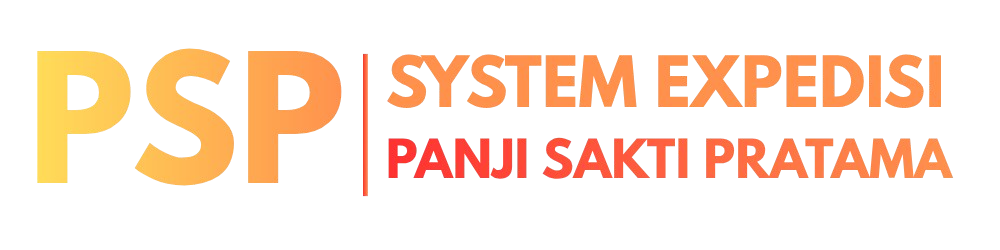 Logo PSP